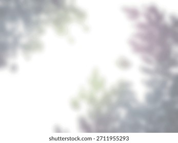 Hintergrundmaterial mit Baumschatten, die auf eine weiße Wand geworfen wurden