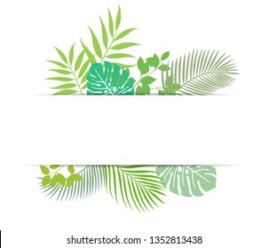 Background material of tropical plants