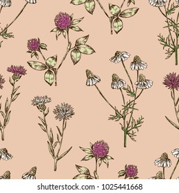 Background of the meadow flowers