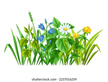 Background with meadow flowers. Herbs and cereal grass. Beautiful decorative spring plants.