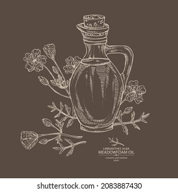 Background meadow foam: plant, flowers, leaves and bottle of meadow foam oil. Limnanthes alba. Vector hand drawn illustration
