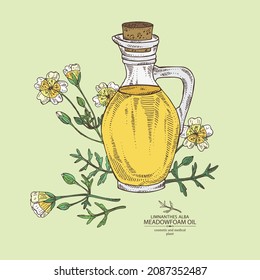 Background meadow foam: plant, flowers, leaves and bottle of meadow foam oil. Limnanthes alba. Vector hand drawn illustration