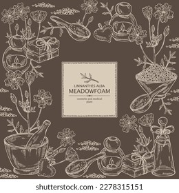 Background with meadow foam: plant, flowers and leaves. Limnanthes alba. Oil, soap and bath salt . Cosmetics and medical plant. Vector hand drawn illustration