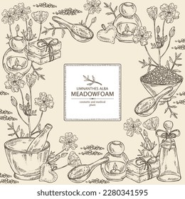 Background with meadow foam: plant, flowers and leaves. Limnanthes alba. Oil, soap and bath salt . Cosmetics and medical plant. Vector hand drawn illustration