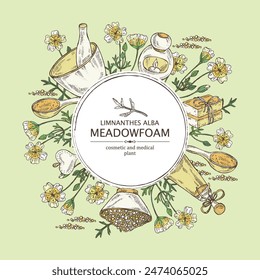Background with meadow foam: plant, flowers and leaves. Limnanthes alba. Oil, soap and bath salt . Cosmetics and medical plant. Vector hand drawn illustration