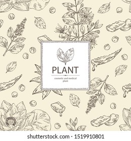 Background with medical plant: aloe vera, patchouli, lotus, myrtus. Cosmetics and medical plant. Vector hand drawn illustration.