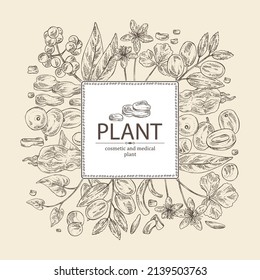 Background with medical plants: amur cork berries, coptis chinese flowers, ziziphus Juyuba fruits, highlander multiflorous roots. Vector hand drawn illustration