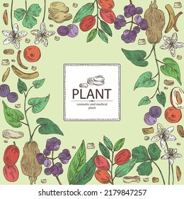 Background with medical plants: amur cork berries, coptis chinese flowers, ziziphus Juyuba fruits, highlander multiflorous roots. Vector hand drawn illustration