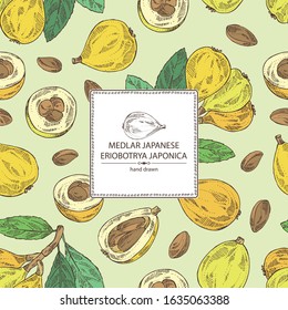 Background with medlar japanese: medlar fruit and leaves. Eriobotrya japonica. Vector hand drawn illustration.