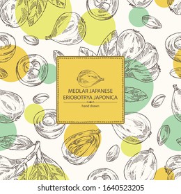 Background with medlar japanese: medlar fruit and leaves. Eriobotrya japonica. Vector hand drawn illustration.