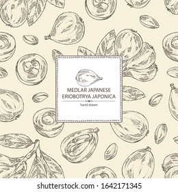 Background with medlar japanese: medlar fruit and leaves. Eriobotrya japonica. Vector hand drawn illustration.