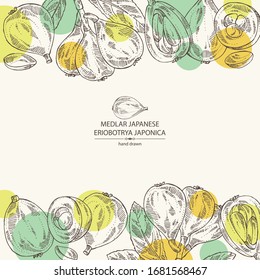 Background with medlar japanese: medlar fruit and leaves. Eriobotrya japonica. Vector hand drawn illustration.