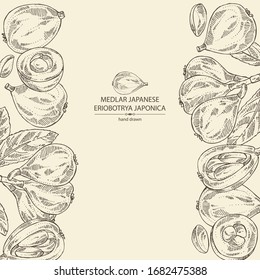 Background with medlar japanese: medlar fruit and leaves. Eriobotrya japonica. Vector hand drawn illustration.