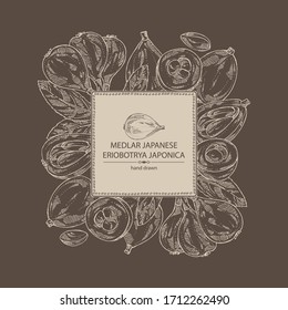 Background with medlar japanese: medlar fruit and leaves. Eriobotrya japonica. Vector hand drawn illustration.