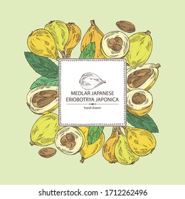 Background with medlar japanese: medlar fruit and leaves. Eriobotrya japonica. Vector hand drawn illustration.