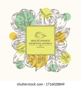 Background with medlar japanese: medlar fruit and leaves. Eriobotrya japonica. Vector hand drawn illustration.