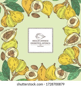 Background with medlar japanese: medlar fruit and leaves. Eriobotrya japonica. Vector hand drawn illustration.