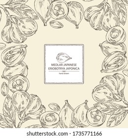 Background with medlar japanese: medlar fruit and leaves. Eriobotrya japonica. Vector hand drawn illustration.