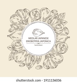 Background with medlar japanese: medlar fruit and leaves. Eriobotrya japonica. Vector hand drawn illustration.