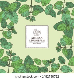 Background melissa: plant and leaves of melissa. Lemon balm. Cosmetic and medical plant. Vector hand drawn illustration.