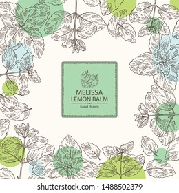 Background melissa: plant and leaves of melissa. Lemon balm. Cosmetic and medical plant. Vector hand drawn illustration.