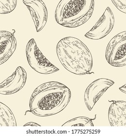 Background with melon: melon fruit and slice. Vector hand drawn illustration