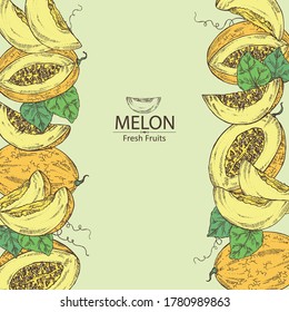 Background with melon: melon fruit and slice. Vector hand drawn illustration