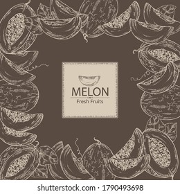 Background with melon: melon fruit and slice. Vector hand drawn illustration