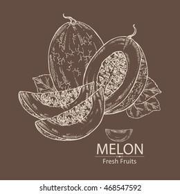 Background with melon . hand drawn