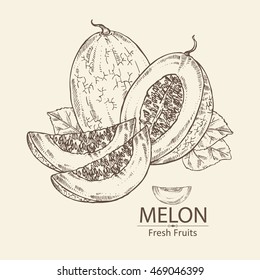 Background with melon . hand drawn