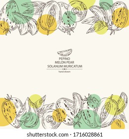 Background with melon pear: pepino fruit, melon pear slice and leaves. Solanum muricatum. Vector hand drawn illustration.