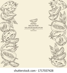 Hintergrund mit Melonenbirne: Pepinobst, MelonenBirnenstück und Blätter. Solanum muricatum. Vektorillustration handgezeichnet.