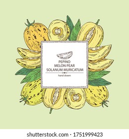 Background with melon pear: pepino fruit, melon pear slice and leaves. Solanum muricatum. Vector hand drawn illustration.