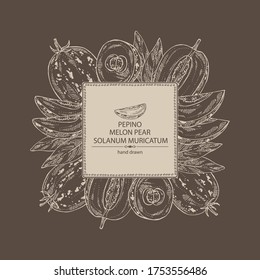 Background with melon pear: pepino fruit, melon pear slice and leaves. Solanum muricatum. Vector hand drawn illustration.