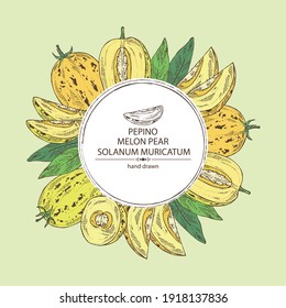 Hintergrund mit Melonenbirne: Pepinobst, MelonenBirnenstück und Blätter. Solanum muricatum. Vektorgrafik, handgezeichnet.