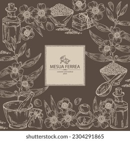 Background with mesua ferrea: mesua ferrea plant, leaves, mesua ferrea flowers. Oil, soap and bath salt . Cosmetics and medical plant. Vector hand drawn illustration svg