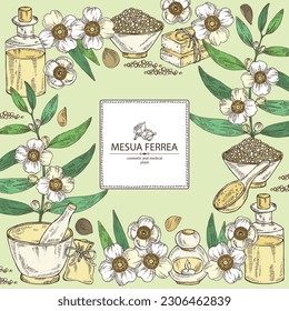 Background with mesua ferrea: mesua ferrea plant, leaves, mesua ferrea flowers. Oil, soap and bath salt . Cosmetics and medical plant. Vector hand drawn illustration svg
