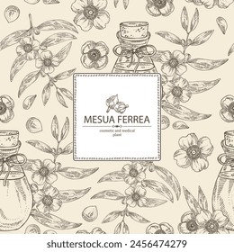 Background with mesua ferrea: plant, leaves, mesua ferrea flowers and bottle of mesua ferrea essential oil. Cosmetic, perfumery and medical plant. Vector hand drawn illustration