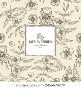 Background with mesua ferrea: plant, leaves, mesua ferrea flowers and bottle of mesua ferrea essential oil. Cosmetic, perfumery and medical plant. Vector hand drawn illustration svg