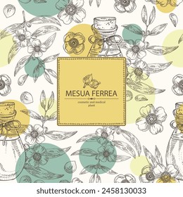 Background with mesua ferrea: plant, leaves, mesua ferrea flowers and bottle of mesua ferrea essential oil. Cosmetic, perfumery and medical plant. Vector hand drawn illustration svg