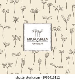 Background with microgreens: leaves and plants of microgreens. Vector hand drawn illustration