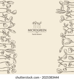 Background with microgreens: leaves and plants of microgreens. Vector hand drawn illustration