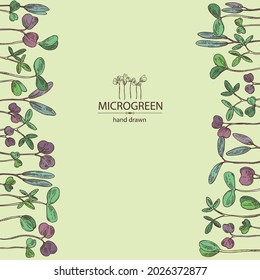 Background with microgreens: leaves and plants of microgreens. Vector hand drawn illustration