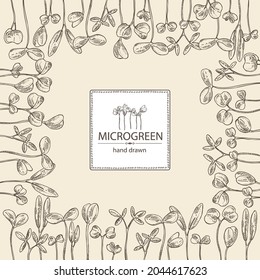 Background with microgreens: leaves and plants of microgreens. Vector hand drawn illustration