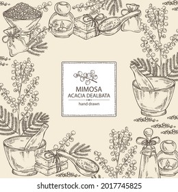 Background with mimosa: mimosa flowering branch and leaves. Acacia dealbata.  Oil, soap and bath salt . Cosmetics and medical plant. Vector hand drawn illustration