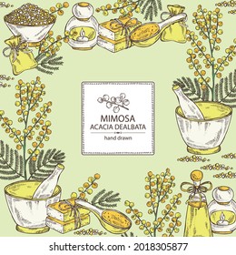 Background with mimosa: mimosa flowering branch and leaves. Acacia dealbata.  Oil, soap and bath salt . Cosmetics and medical plant. Vector hand drawn illustration
