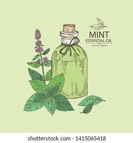 Background with mint and bottle of mint essential oil. Cosmetic, perfumery and medical plant. Vector hand drawn