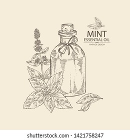 Background with mint and bottle of mint essential oil. Cosmetic, perfumery and medical plant. Vector hand drawn