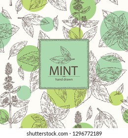 Background with mint: plant and leaves of peppermint. Vector hand drawn illustration