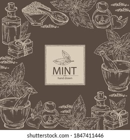 Background with mint: plant and leaves of peppermint. Oil, soap and bath salt . Cosmetics and medical plant. Vector hand drawn illustration